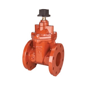 F-619-RWS-SON 3 in. LF GATE VALVE W/SQ OPR NT 300