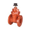F-619-RWS-SON 3 in. LF GATE VALVE W/SQ OPR NT 300