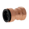 P603 1 PUSHXF ADAPTER