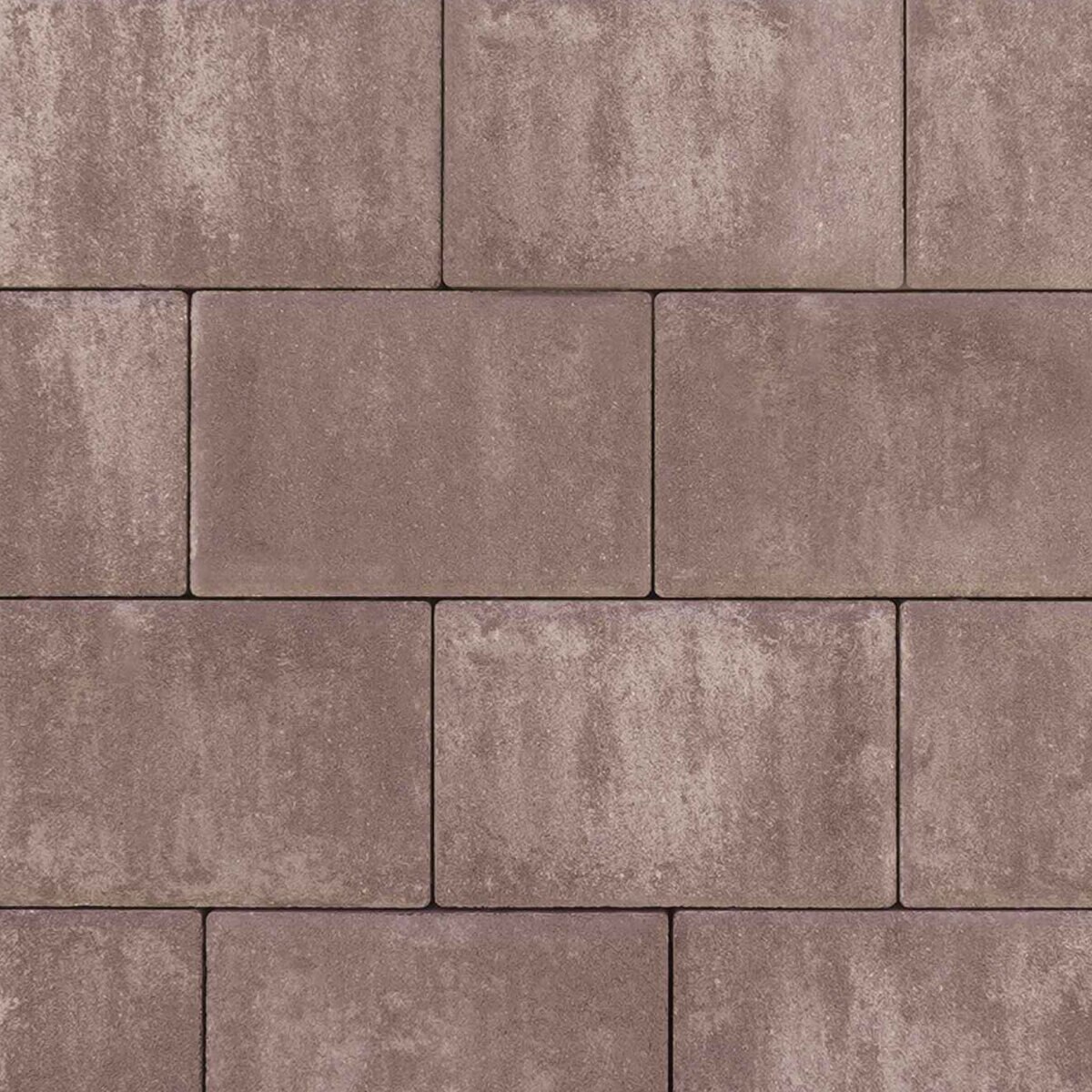 Nicolock Alpine Contemporary Paver 8 in. x 12 in. Cappu | SiteOne