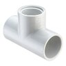 Sch 40 PVC Tee 1/2 in. Socket x 1/2 in. Socket x FIPT