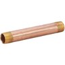 Nipple Brass 1 in. x 24 in. MIPT Threaded Both Ends