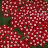 Achillea Millefolium Song Siren Laura Yarrow