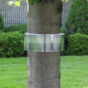 BB30 Tree Band Kit 30 ft.