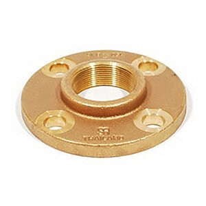 Brass Companion Flange 2 in. FIPT