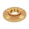 Brass Companion Flange 2 in. FIPT