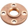 Brass Companion Flange 2 in. FIPT