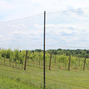 Deer Fence Post 1.38 in. x 10.5 ft.