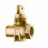 Minneapolis Ball Valve Curb Stop with Drain Lead Free Brass 1 in. FIPT