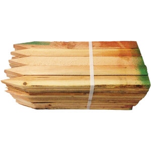 18 in. Wattle Stakes
