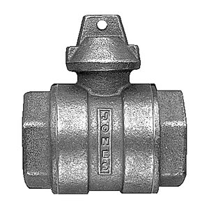 Jones Ball Curb Valve 3/4 in. Fipt