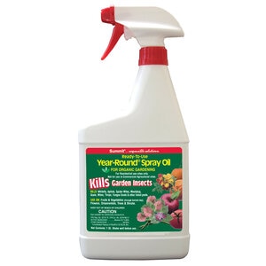 Year Round Spray Oil Qt