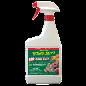 Year Round Spray Oil Qt