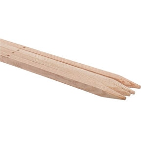 Oak Stake 2 in. x 2 in. x 8 ft.