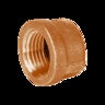 1 in. THREADED BRASS CAP LED FREE