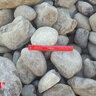 Bulk Cane Creek Medium 6 - 14 in.