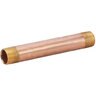 Nipple Brass 1-1/2 in. x 30 in. MIPT Threaded Both Ends