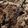 Sheep Manure & Peat Mixture 1.5 cu. ft. Bag