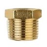 Brass Reducing Bushing 1 in. x 3/4 in. FIPT