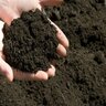 Peat Humus 40 lb. Bag