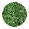 Blend Sod Biofiltration: Needlegrass/Fescue/Barley (per sq. ft.)