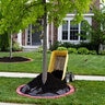 Leaf Mulch Bulk (Sold per cu. yd.)