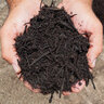Premium Compost 1 cu. ft. Bag
