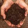 Manure Compost Bulk (per cu. yd.)