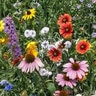 Northeast Wildflower Mix 1 lb. Bag