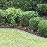 Pro-Steel Steel Landscape Edging Green 10 Gauge 1/8 in. x 4 in. x 16 ft.
