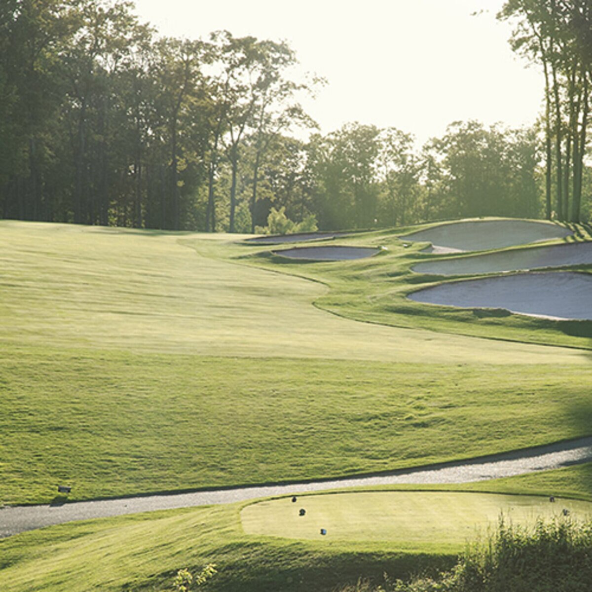 Bermuda Sod Tifway 419 Special Bermudagrass (per sq ft. SiteOne