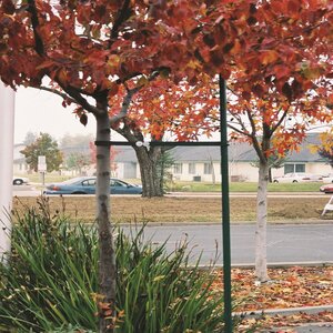 R2 Staking System 9 ft.