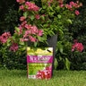 BGI Bougain 6-8-10 +Mircos Bougainvillea Granular Fertilizer 10 lb. Bag