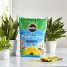 Miracle-Gro Potting Mix w/ Moisture Control 8 qt. Bag (7.25 lb.)