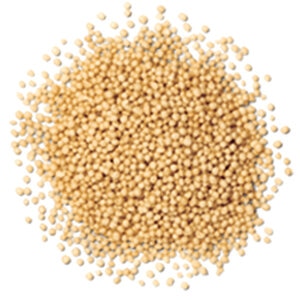 Duration Fertilizer 34-0-0