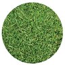 Blend Sod Shade Blend: Tall Fescue/Fine Fescue (per sq. ft.)