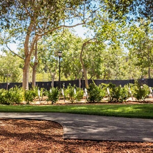 JD Russell Duraedge Steel Landscape Edging Black 14 Gauge 1/16 in. x 4 in. x 10 ft.