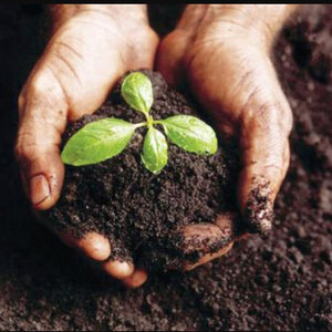 Garden Mix 70% C-33 Sand 30% Grade 2 Compost Bulk (per cu. yd.)