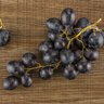 Vitis Vinifera Autumn Royal Seedless Grape