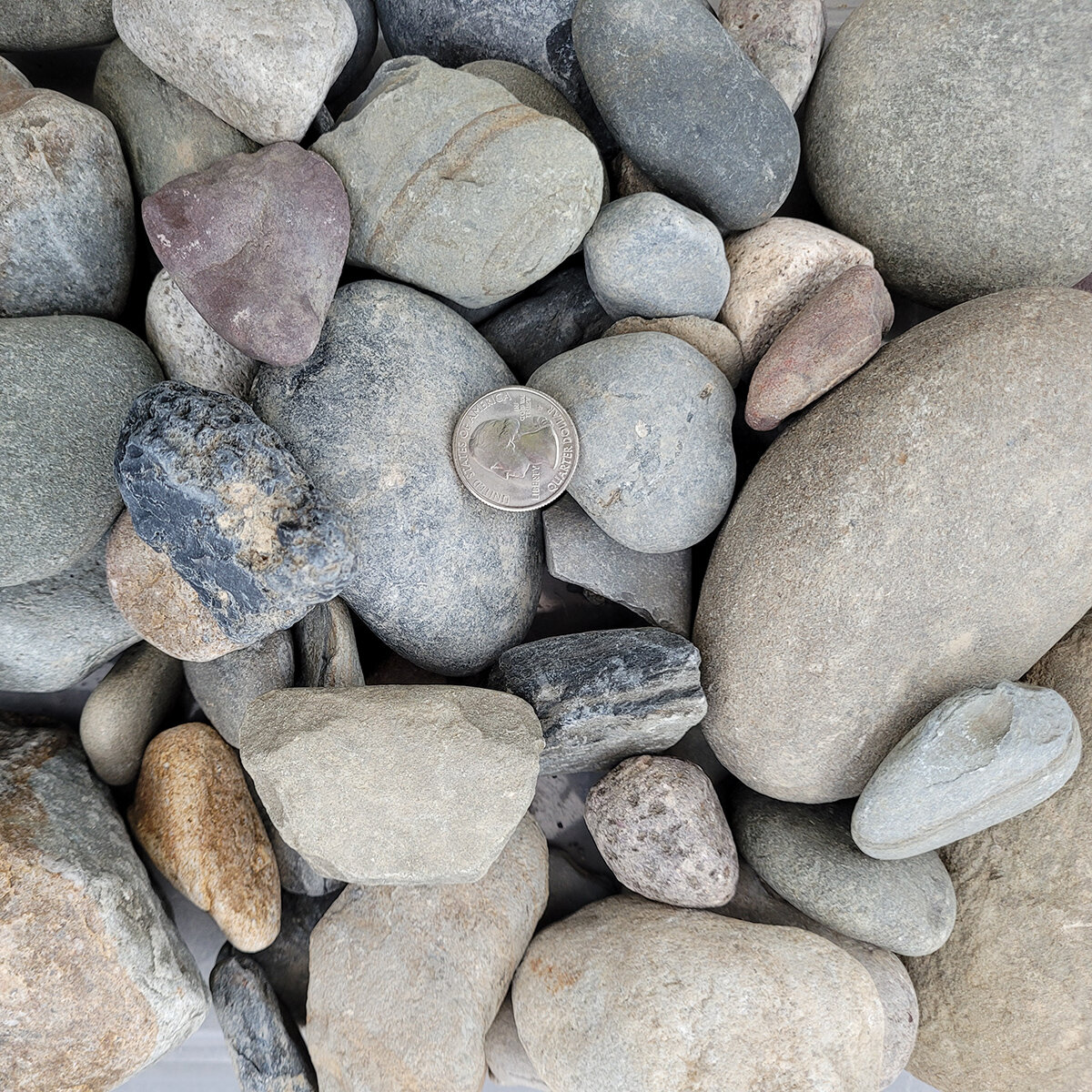 Bulk River Rock Pennsylvania Blend 1 - 3 in | SiteOne US