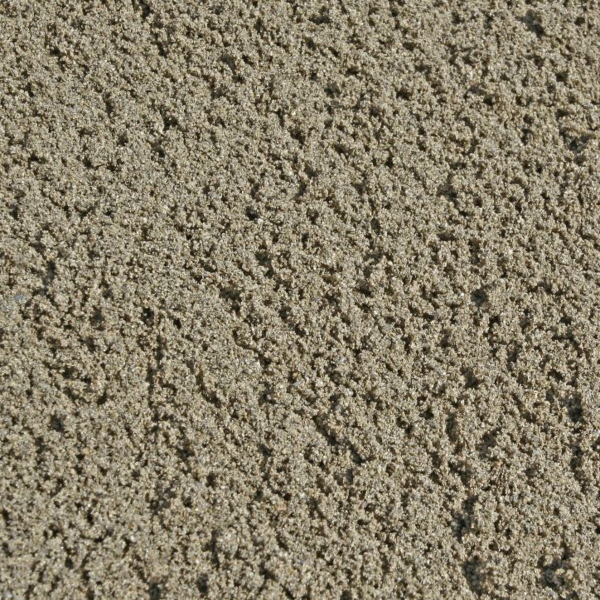 Bulk Screening Sand #131 Screening Commercial | SiteOne US