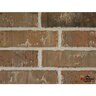 Binsa Brick Country Club Executive Size 10 in. x 3 in. (416 pc./pallet)