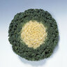 Brassica Oleracea Kamome White Ornamental Kale 10 Count Flat