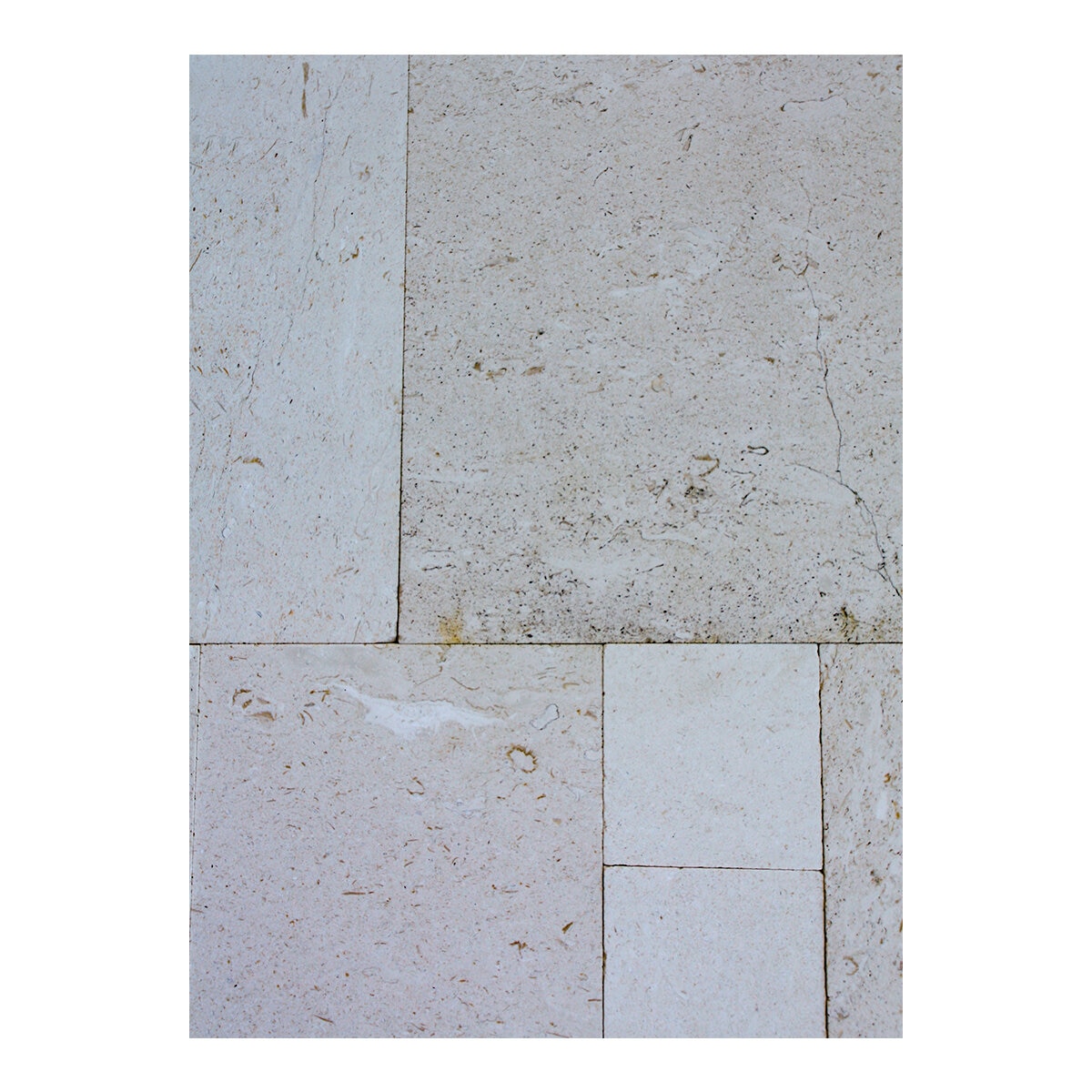 Solstice Dimensional Shellstone Limestone Tumbled French Pattern (176 ...