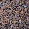 Bulk Cocoa Gravel