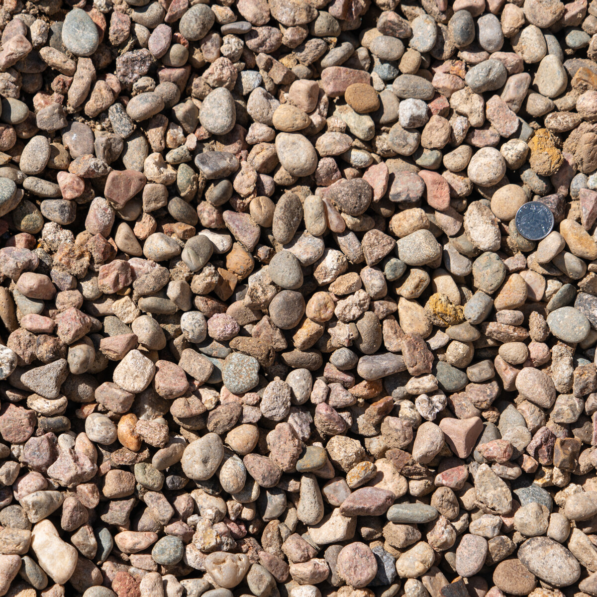 Bulk River Rock 3/4 in | SiteOne US