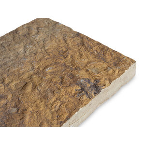 Squared Oklahoma Brown Snapped Edges 24 in. x 24 in.