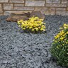 Bagged Trap Rock Gravel 3/4 in. (1/2 cu. ft. Bag) (60 bag/pallet)