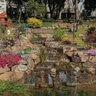 Outcropping Weathered Limestone Ledge