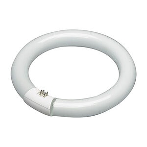 PestWest Circline Bl368 Lamp 22w SH (shatter resistant)